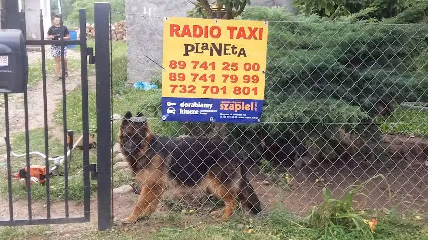 Taxi Planeta