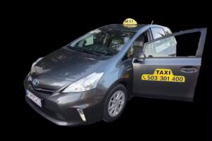 TAXI WGM
