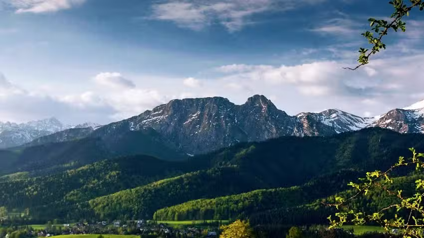 Taxi ZONE Zakopane