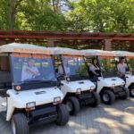 TAXXI MELEX