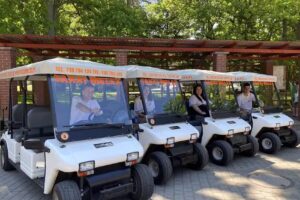 TAXXI MELEX