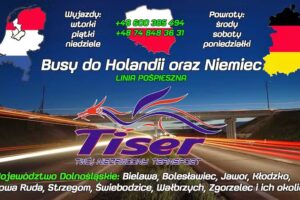 Tiser