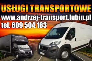 Transport Lubin