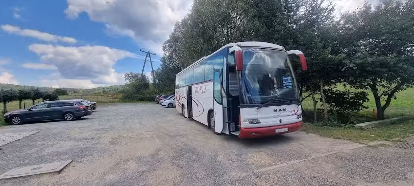 Transport Osobowy Władysław Tomera