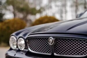transport VIP