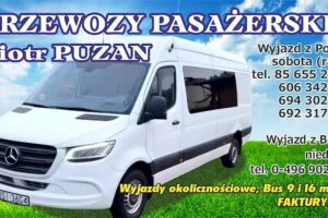 Usługi Transportowe Piotr Puzan