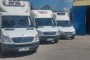 Usługi Transportowe Remigiusz Włodarski
