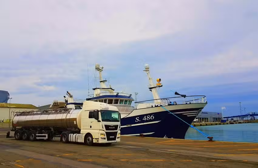 Usługi Transportowe Rybacka Sp. z o. o.