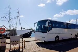 VIATORIS Transport Autobusowy Przemysław Kobyłecki