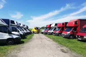 VIP-TRAVEL | Transport, Spedycja i Logistyka
