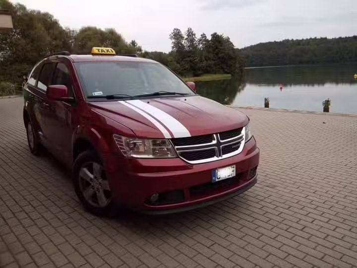 Wild Pony Taxi