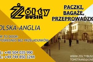 Żółty Busik
