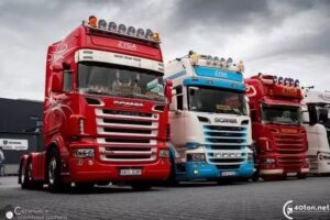 Zyga Transport Usługi Transportowe Pałubicki Piotr